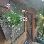 Oda ve Kahvaltı Le Val Du Vieux Chene D'hotes 3*