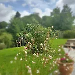 Le Val Du Vieux Chene D'hotes 3* Walcourt