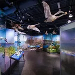 Le Val Du Vieux Chene D'hotes