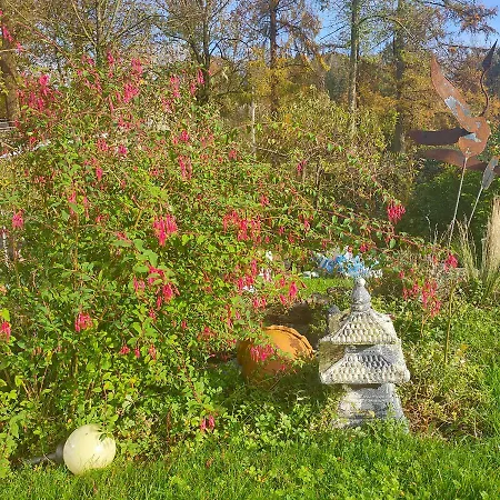 Frühstückspension Le Val Du Vieux Chene D'hotes