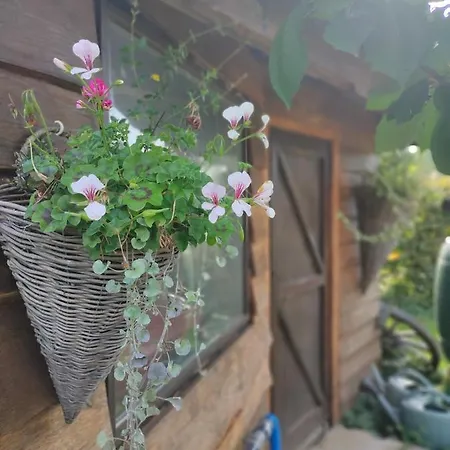 Bed & Breakfast Le Val Du Vieux Chene *