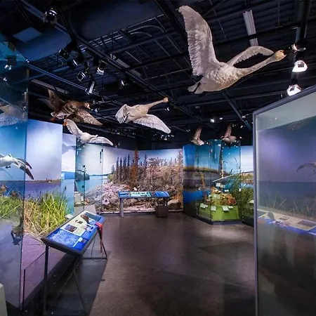 Le Val Du Vieux Chêne D'hôtes