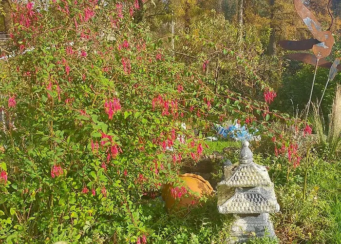 Frühstückspension Le Val Du Vieux Chene D'hotes