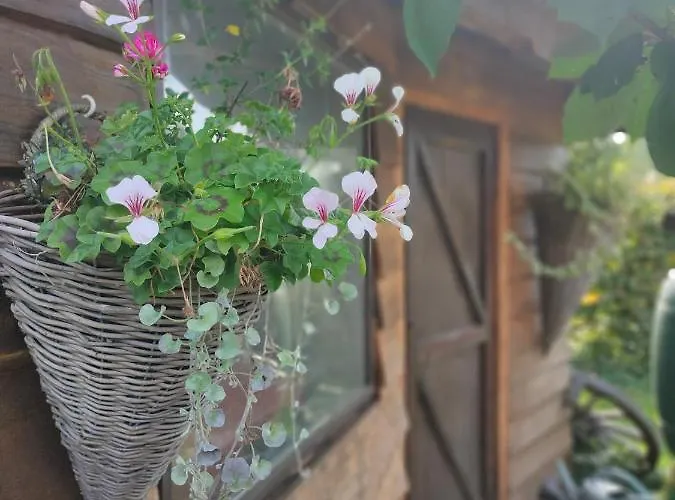 Bed & Breakfast Le Val Du Vieux Chene 3*