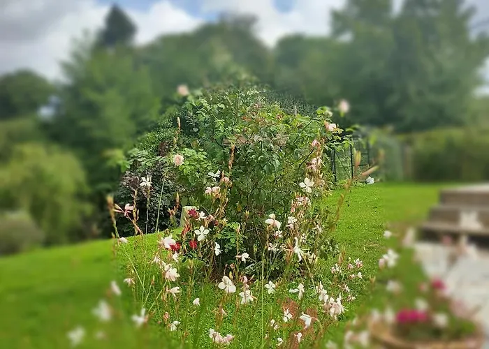 Le Val Du Vieux Chene D'hotes 3* Walcourt