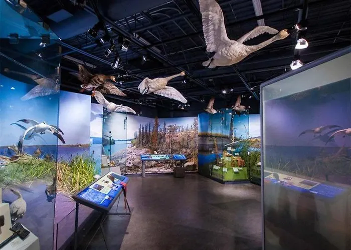 Le Val Du Vieux Chene D'hotes