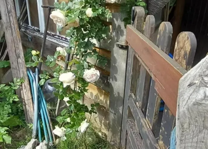 Le Val Du Vieux Chene D'hotes Frühstückspension 3*